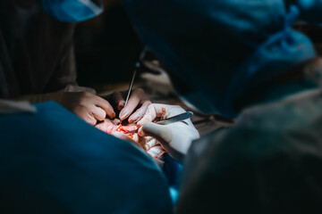 hands of surgeons operating a patient, neurosurgery.