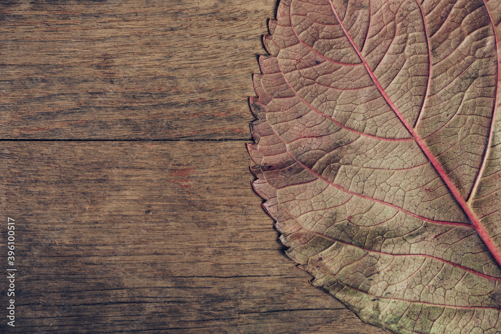 Poster close up beautiful faded old leaf on a brown old wooden table. abstraction autumn style concept. bac