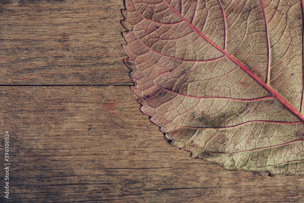 Poster close up beautiful faded old leaf on a brown old wooden table. abstraction autumn style concept. bac