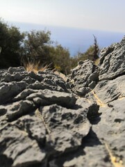 highlands by the sea