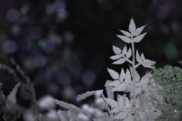 Decorative tree branch with silvery frost on a dark Christmas background.