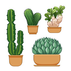 Cactus in flowerpot. Hand drawn set collection.