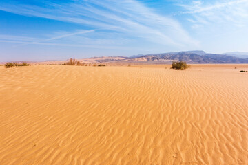 Fototapeta na wymiar Sand Dune in Wadi Araba desert. Jordan