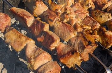 Juicy pork meat on skewers cooking outdoor on smouldering carbons