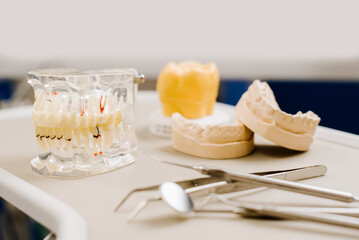 Dental equipment an tools in the dentists cabinet