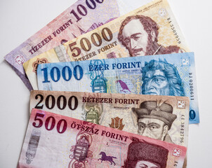 World money collection. Fragments of Hungary money