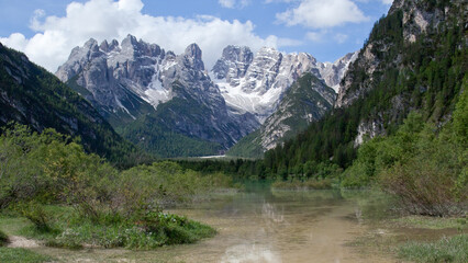 landscape forest in trentino with dolomiti mountain