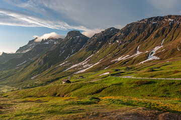 landscape forest in trentino with dolomiti mountain