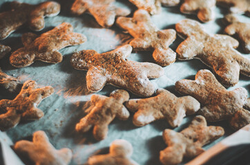 Baking tray with freshly baked gingerbread people fo