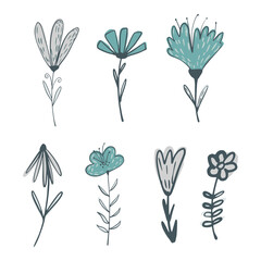 Set from flowers on twigs with foliage on white background. Abstract botanical sketch blue color hand drawn in style doodle.