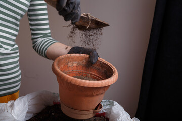 Gardener sipping soil into flower pot for planting seedling.