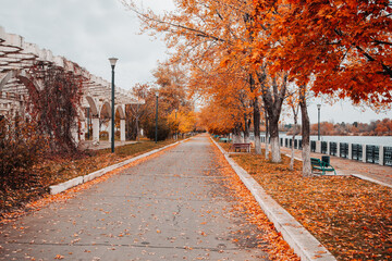 autumn in the park on the embankment
