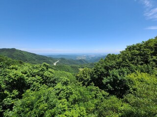 view from the mountain