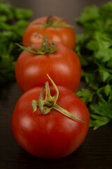 Red tomatoes with green tails lie in the middle of a dark textured wood background with green parsley on the sides. Eco-friendly tomatoes. Fresh tomatoes. Parsley. Tomatoes with water drops. Fresh veg