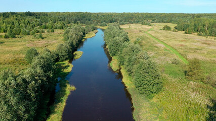 Fototapeta na wymiar Landscape with green forest and river . Natural nature from a bird's eye view