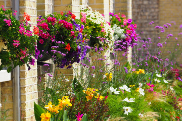 Baskets with flowers on the windows, backyard. Flower garden in summer, outdoor flower garden
