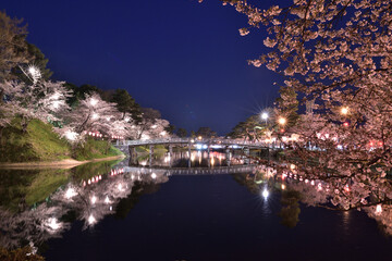 高田城址公園の夜桜