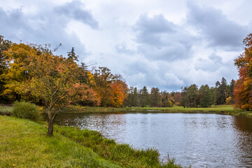 Autumn trees alley with colorful leaves in the park