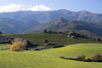Obraz premium Beautiful green landscape in the north of Corsica