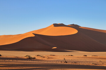 Fototapeta na wymiar giant red sand dunes in Sossusvlei Namib Desert - Namib-Naukluft National Park, Namibia, Africa