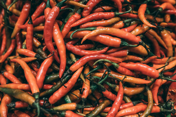 red hot chili peppers