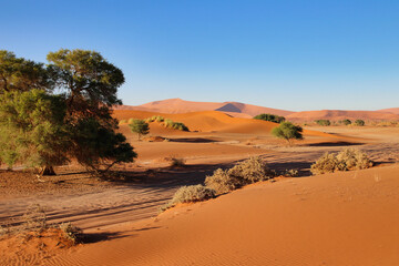 giant red sand dunes in Sossusvlei Namib Desert - Namib-Naukluft National Park, Namibia, Africa