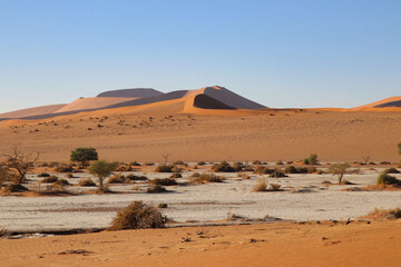 Fototapeta na wymiar giant red sand dunes in Sossusvlei Namib Desert - Namib-Naukluft National Park, Namibia, Africa
