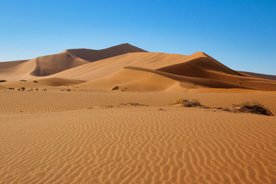 giant red sand dunes in Sossusvlei Namib Desert - Namib-Naukluft National Park, Namibia, Africa © Christian