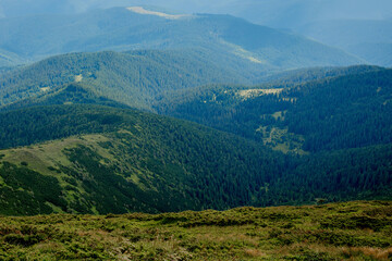 Naklejka premium Carpathians mountain range at summer morning. Beauty of wild virgin Ukrainian nature. Peacefulness.