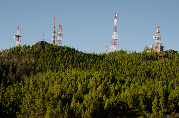 Obraz premium Telecommunication antennas in a forest of Canary island pine Pinus canariensis. Gran Canaria. Canary Islands. Spain.