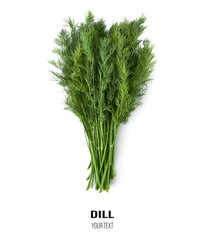 Fresh green dill background. Green dill texture. Bunch of dill. Seasoning. Spice for different dishes