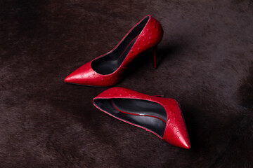 Red shoes on the dark skin of the beast. Pair of women high-heeled shoes.
