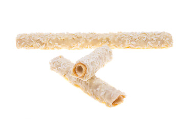 crispy rolls isolated
