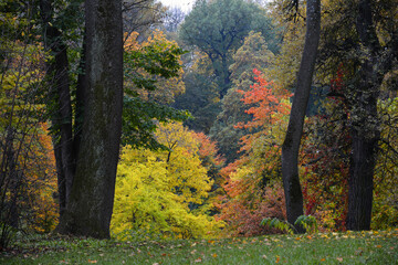 Autumn colors in the National Dendrology Park of Sofiyivka, Uman, Ukraine.