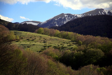 Obraz premium View of snow-capped mountains and contrast with the colors of spring foliage