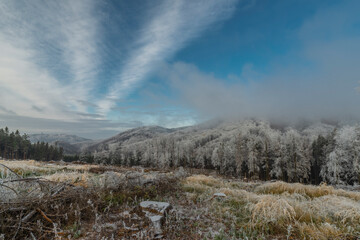 Opening after cut down tree in winter day near Hostyn hill in east Moravia