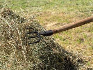 hay on a pitchfork. A stack of freshly mown grass. Concept of rural life