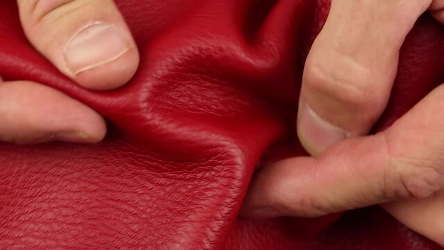 close-up view on human fingers check quality and testing of red natural soft leather, material for craft and hobbies accessories, macro