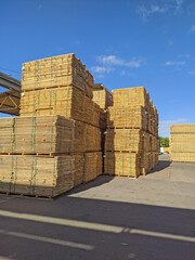 Factory for the production of parquet board. Production line of the wooden floor factory. Automatic woodworking machine. Industrial background