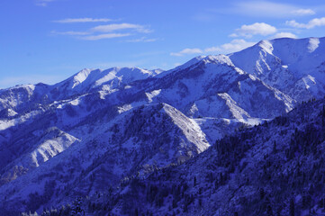 Fototapeta na wymiar Winter landscape high in the mountains. Snowy mountains