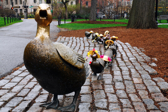 Make Way for the Ducklings, Statue Inspired by a Children's Book, Boston