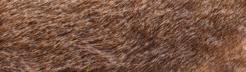 texture of natural wild brown fur background
