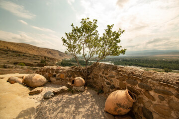 large amphorae lie with a beautiful view
