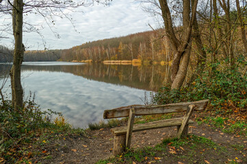 Alte Holzbank am Ufer des Mittelsees der Ville-Seenplatte bei Erftstadt