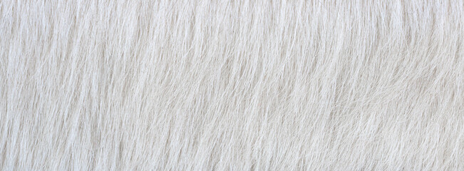texture of natural wild gray fur background
