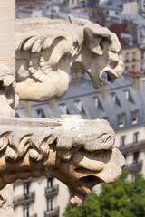 Gargoyles in Paris
