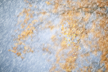 autumn rain background drops / abstract autumn landscape in rainy weather, seasonal landscape in the park