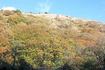 Teign Valley in Autumn	