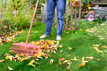 Herbst - Gartenarbeit - Blätter fegen