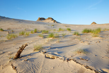 Fototapeta na wymiar Leba sand dune